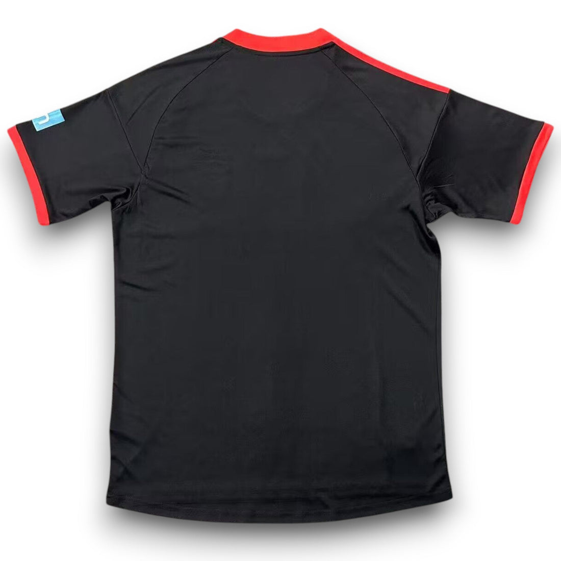 Benfica 2009-2010 Away Shirt