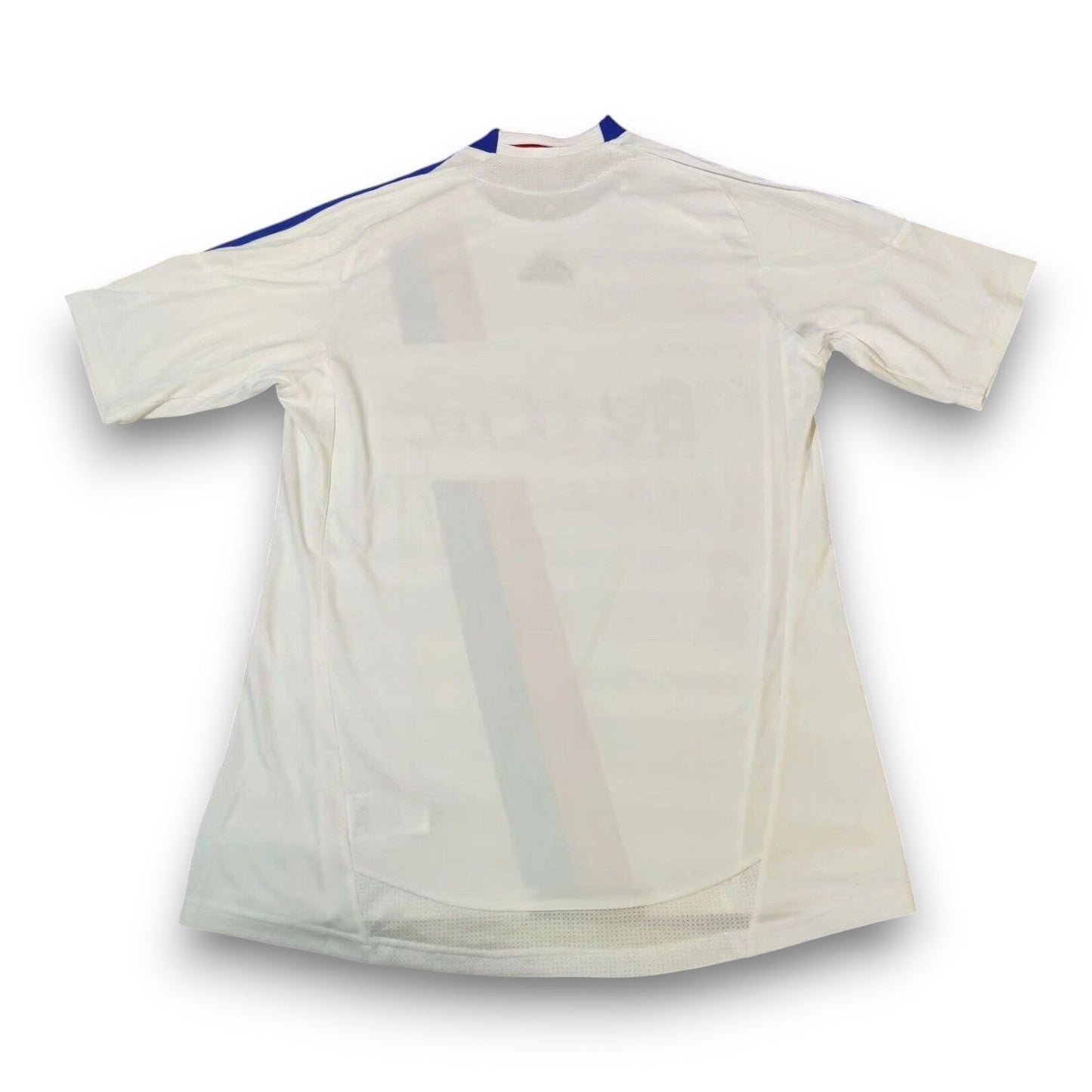 Camiseta Olympique de Lyon 2010-2011 Titular